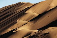 Dakar 2019: La quincena de la arena